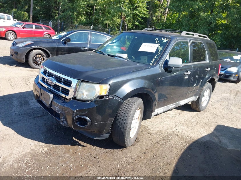 Vin: 1fmcu0d76akb19245, lot: 46284897, ford escape xlt 20102