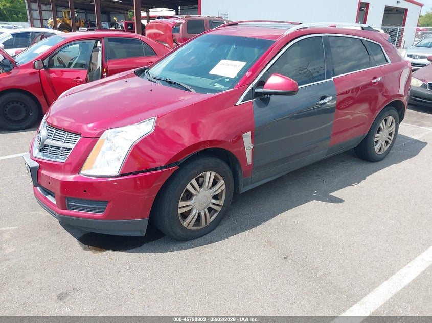 2011 Cadillac SRX, Звичайний знос, IAAI, VIN 3GYFNAEYXBS517666 — фото 2