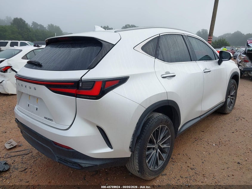 Vin: 2t2adcaz0nc002928, lot: 46288748, lexus nx 250 20224