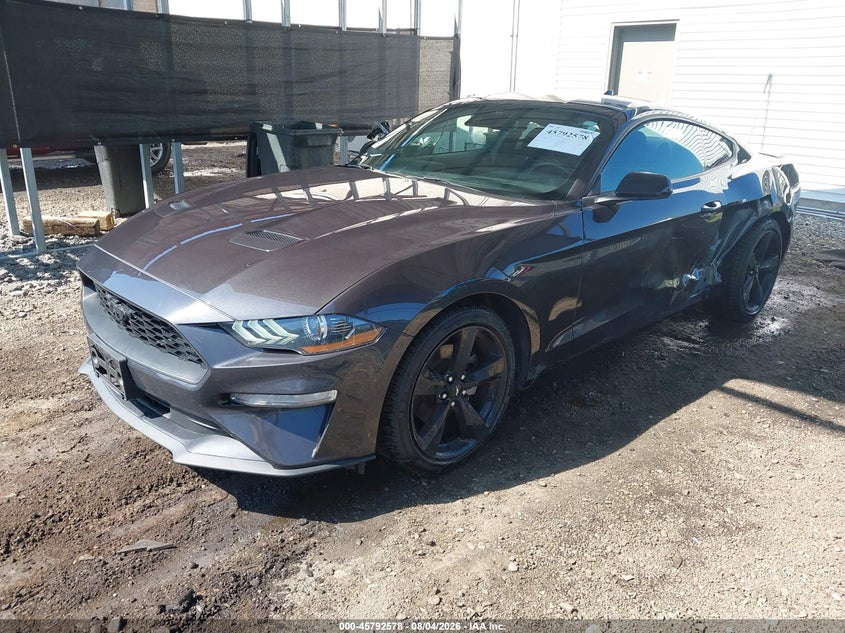Vin: 1fa6p8th9p5101045, lot: 46291409, ford mustang ecoboost fastback 20232
