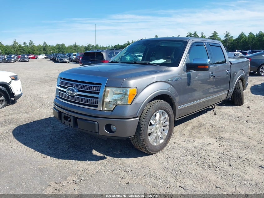 Vin: 1ftfw1cv5afd71241, lot: 46293106, ford f-150 platinum 20102