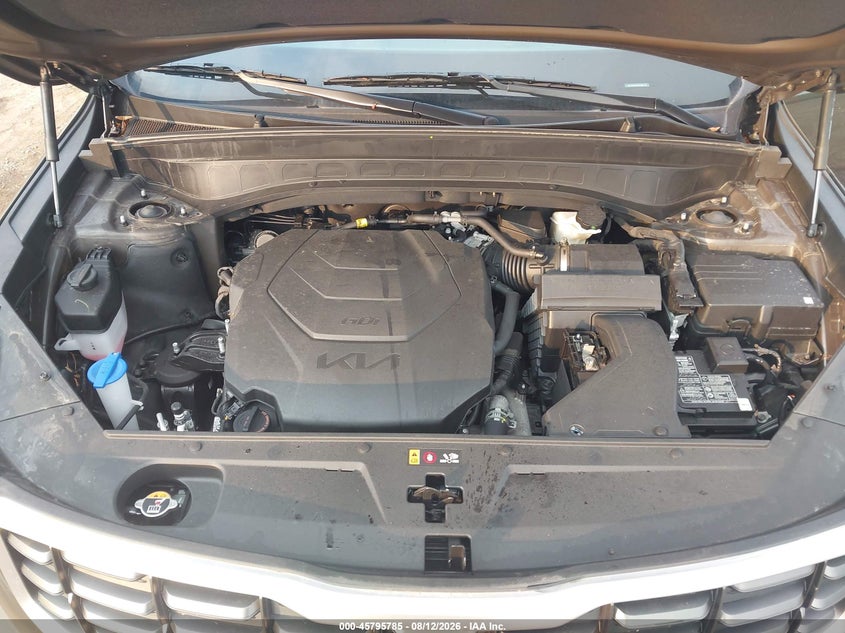 KIA TELLURIDE 2024 VIN 5XYP6DGCXRG566114