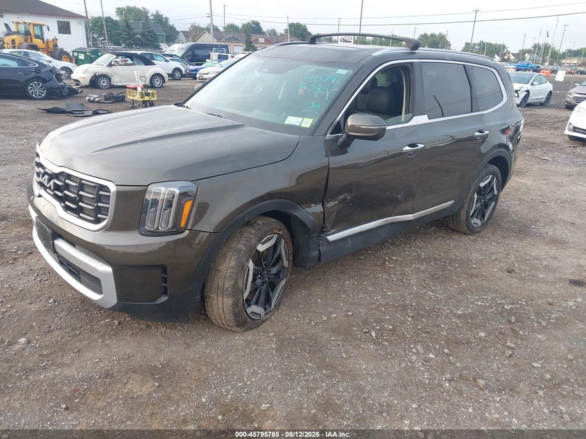 KIA TELLURIDE 2024 VIN 5XYP6DGCXRG566114