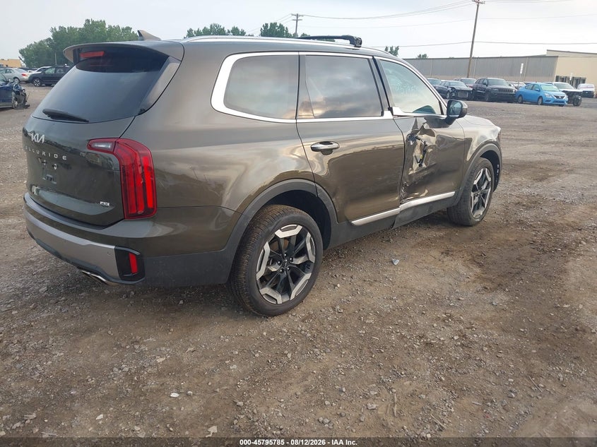 KIA TELLURIDE 2024 VIN 5XYP6DGCXRG566114