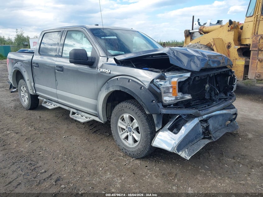 Vin: 1ftew1eg9jfb88483, lot: 46295145, ford f-150 xlt 2018 img_1