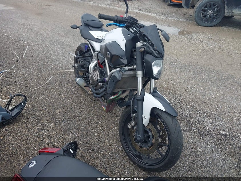 2015 Yamaha Fz07