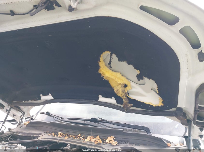 LAND-ROVER RANGE ROVER SPORT 2014 VIN SALWR2WF8EA339493