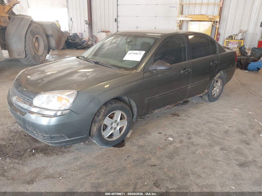 2005 Chevrolet Malibu, Звичайний знос, IAAI, VIN 1G1ZT54895F174142 — фото 2