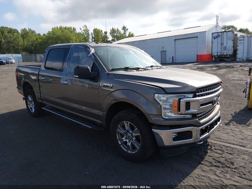 Vin: 1ftew1ep4jfa12828, lot: 46299901, ford f-150 xlt 2018 img_1