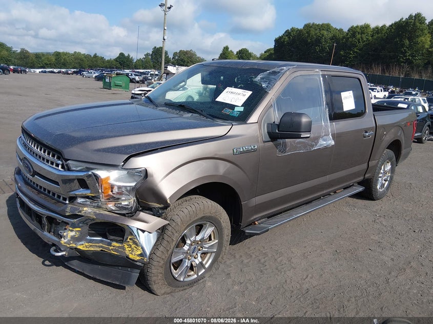 Vin: 1ftew1ep4jfa12828, lot: 46299901, ford f-150 xlt 20182