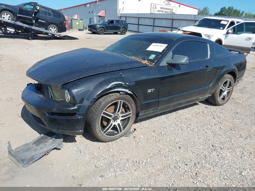 FORD MUSTANG 2006 VIN 1ZVFT82H365251607