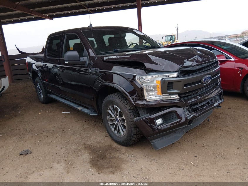 Vin: 1ftew1ep7kkc21120, lot: 46300653, ford f-150 xlt 2019 img_1