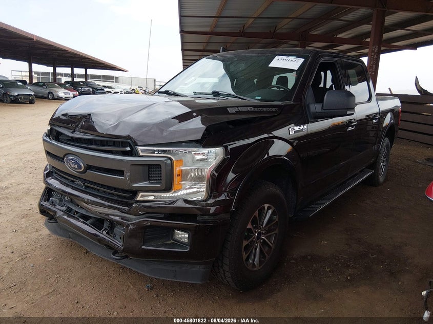 Vin: 1ftew1ep7kkc21120, lot: 46300653, ford f-150 xlt 20192