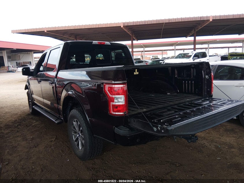Vin: 1ftew1ep7kkc21120, lot: 46300653, ford f-150 xlt 20193