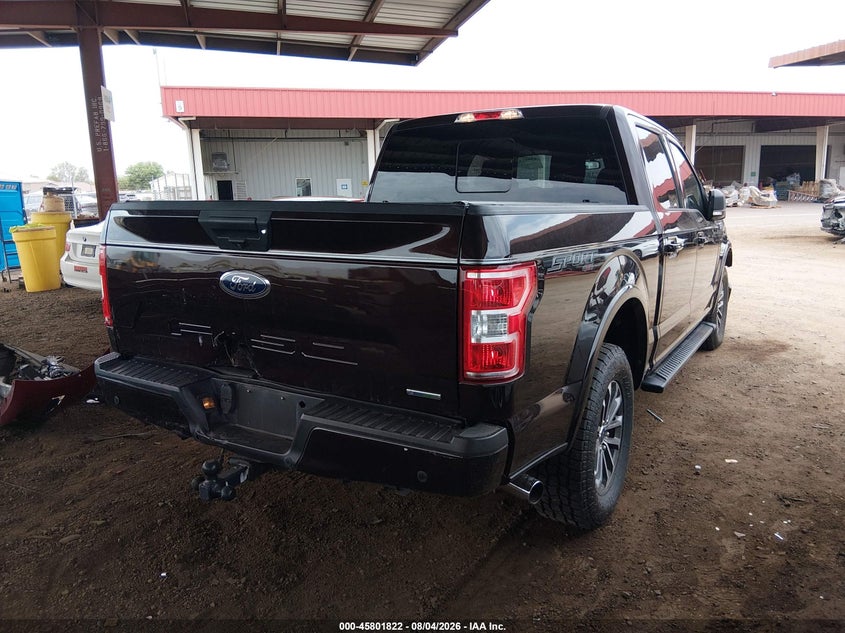 Vin: 1ftew1ep7kkc21120, lot: 46300653, ford f-150 xlt 20194