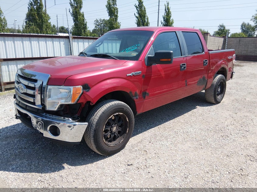 Vin: 1ftew1e83afb93669, lot: 46302403, ford f-150 xl/xlt 20102