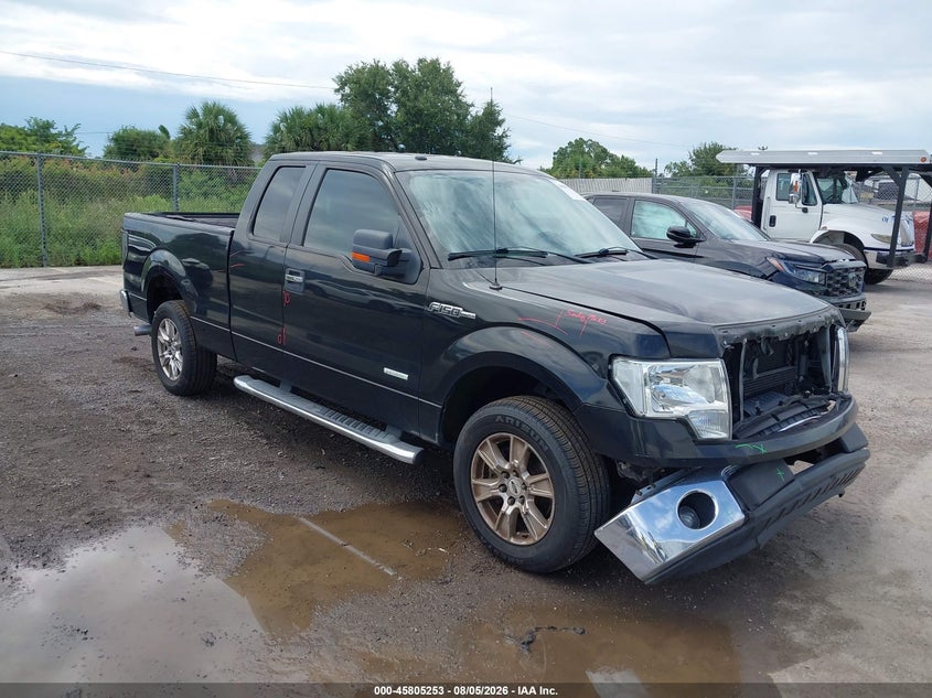 Vin: 1ftfx1ct1dfa02246, lot: 46304099, ford f-150 xlt 2013 img_1