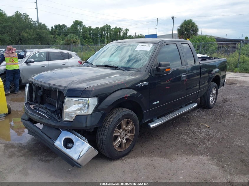 Vin: 1ftfx1ct1dfa02246, lot: 46304099, ford f-150 xlt 20132