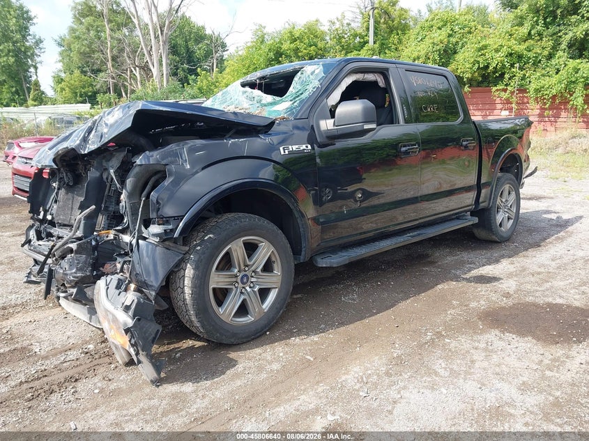 Vin: 1ftew1ep9kfc26604, lot: 46305486, ford f-150 xlt 20192