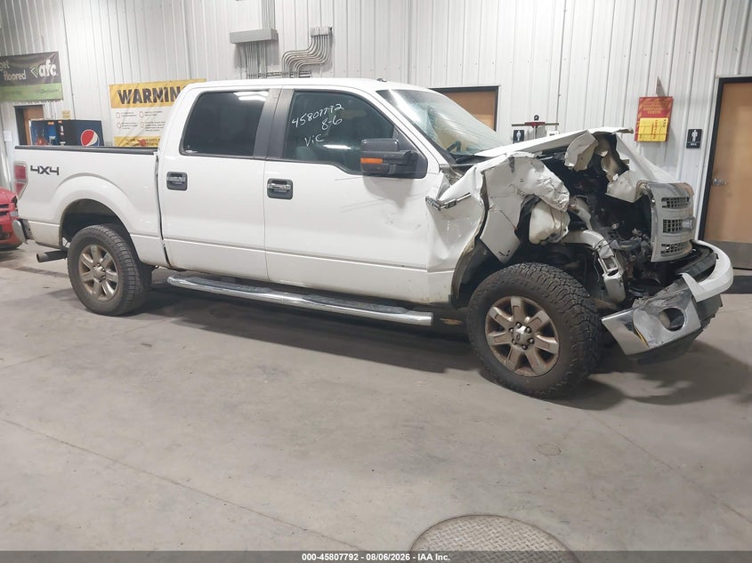 Vin: 1ftfw1efxekd67883, lot: 46306637, ford f-150 xlt 2014 img_1