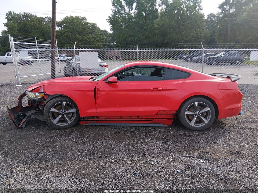 FORD MUSTANG 2015 VIN 1FA6P8AMXF5428567