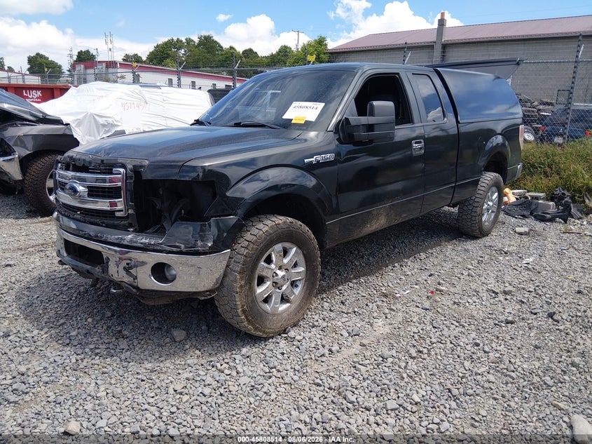 Vin: 1ftfx1ef3dfa48507, lot: 46307360, ford f-150 xlt 20132