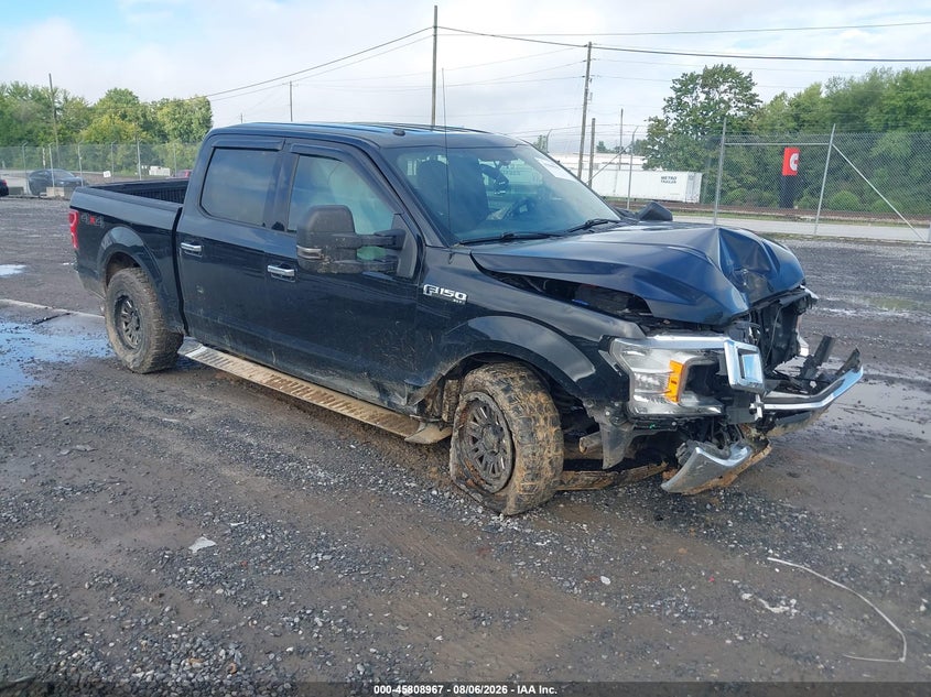 Vin: 1ftew1eg5jfc87527, lot: 46307813, ford f-150 xlt 2018 img_1