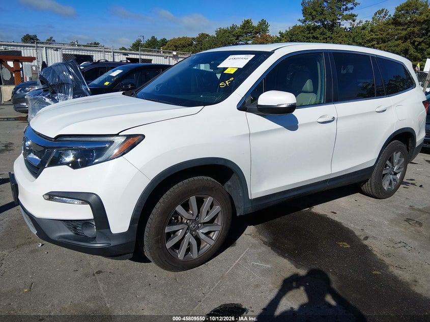 Vin: 5fnyf6h52mb032668, lot: 46308396, honda pilot awd ex-l 20212