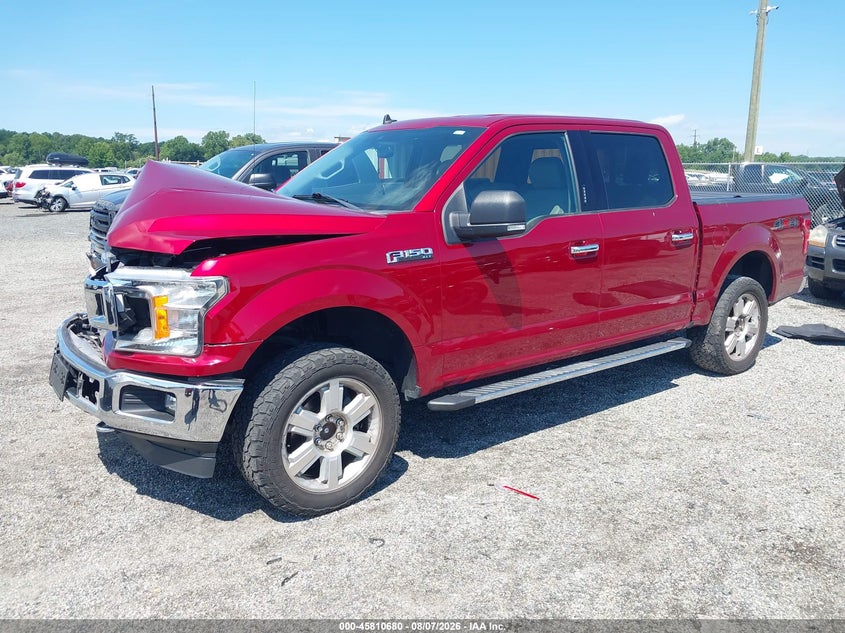 Vin: 1ftew1e40kfc61196, lot: 46309526, ford f-150 xlt 20192