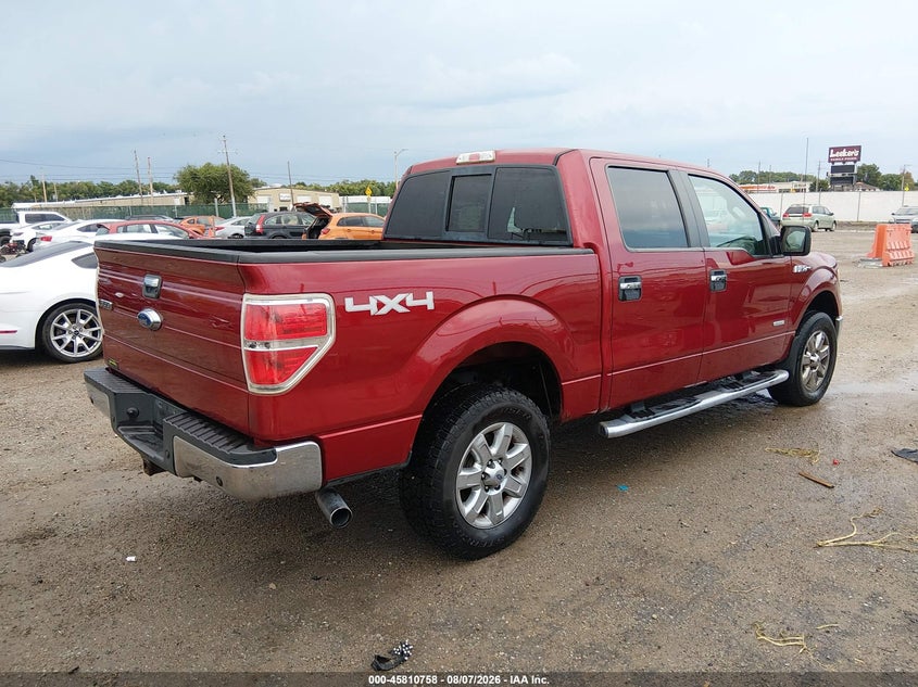 Vin: 1ftfw1et2dke03473, lot: 46309604, ford f-150 xlt 20134