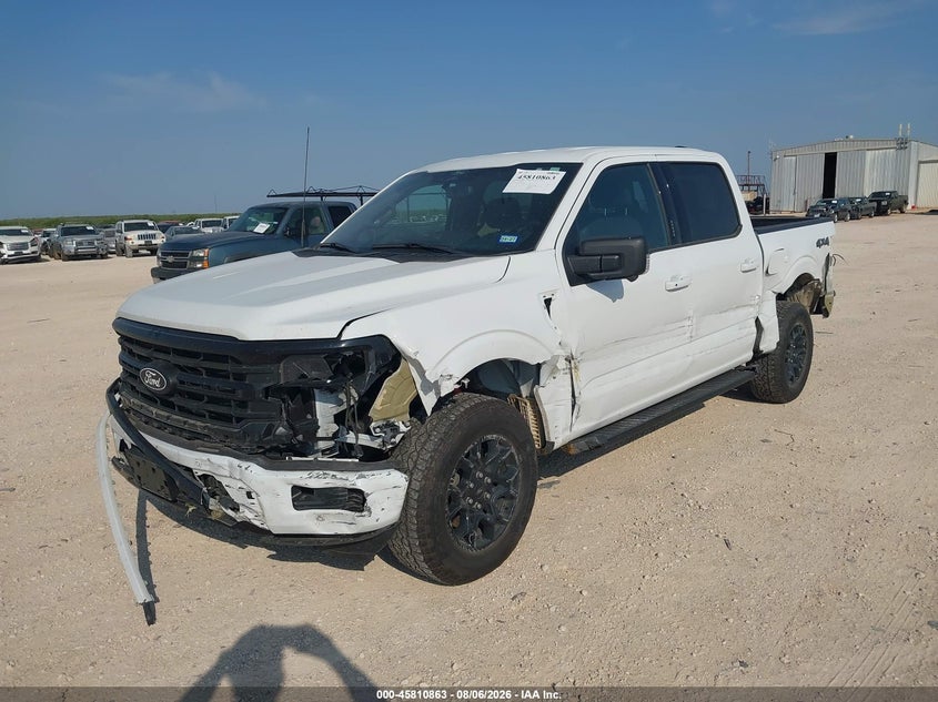 Vin: 1ftew3lp1rkd54982, lot: 46309709, ford f-150 xlt 20242