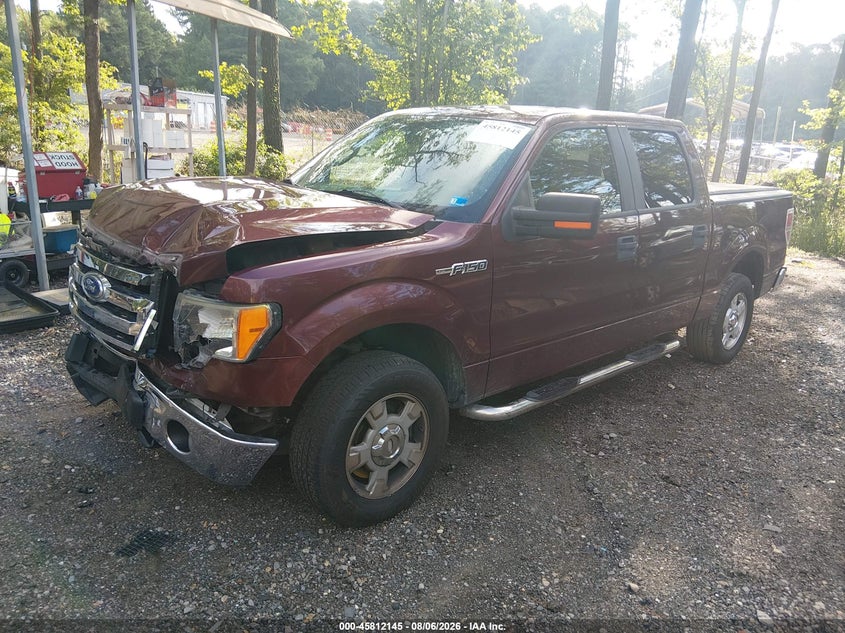 Vin: 1ftew1c81afb24160, lot: 46310991, ford f-150 fx2 sport/xl/xlt 20102