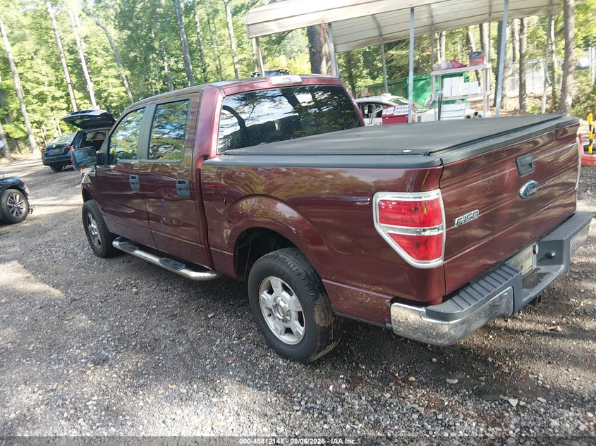 Vin: 1ftew1c81afb24160, lot: 46310991, ford f-150 fx2 sport/xl/xlt 20103