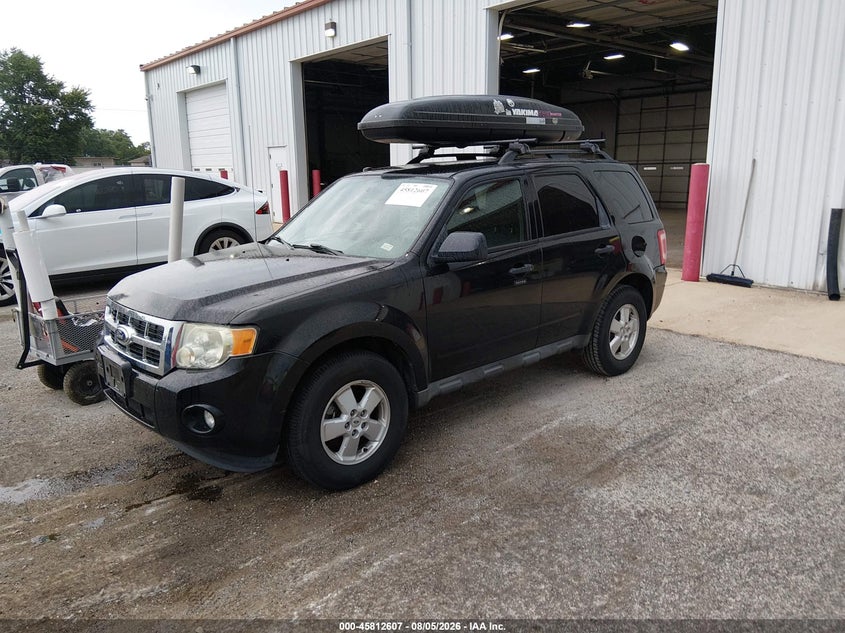 Vin: 1fmcu0dg0akd11793, lot: 46311454, ford escape xlt 20102