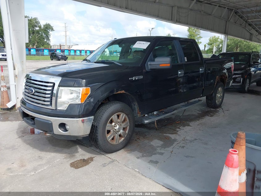 Vin: 1ftfw1ef1cfc00771, lot: 46312523, ford f-150 xlt 20122