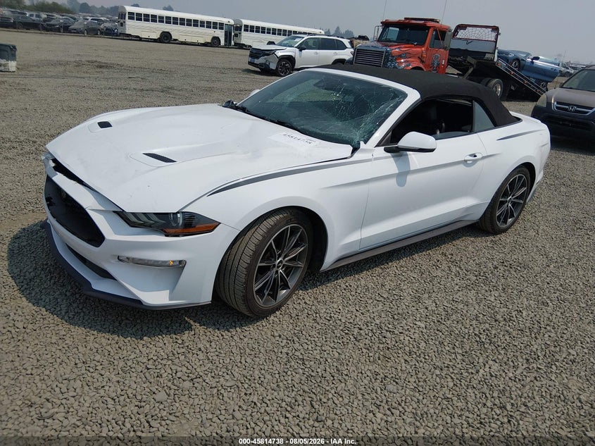 Vin: 1fatp8uh8k5159500, lot: 46313584, ford mustang ecoboost premium 20192