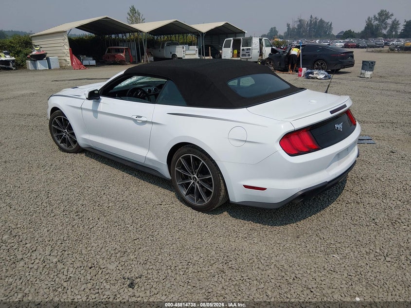 Vin: 1fatp8uh8k5159500, lot: 46313584, ford mustang ecoboost premium 20193