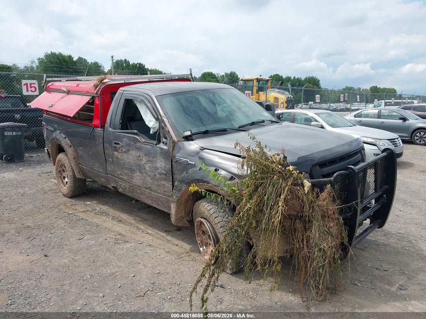Vin: 1ftpf1ef2bkd95029, lot: 46314939, ford f-150 xl w/hd payload pkg 2011 img_1