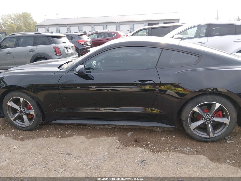 FORD MUSTANG - zdjęcie 14