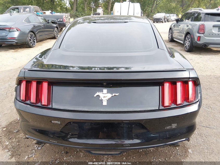 FORD MUSTANG - zdjęcie 16