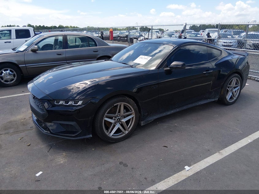 Vin: 1fa6p8th9r5118818, lot: 46315932, ford mustang ecoboost premium fastback 20242