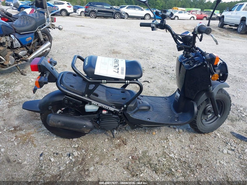 HONDA NPS50 2024