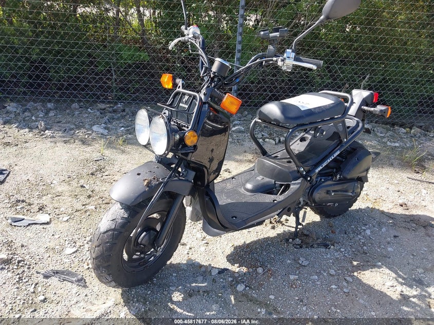 HONDA NPS50 2024