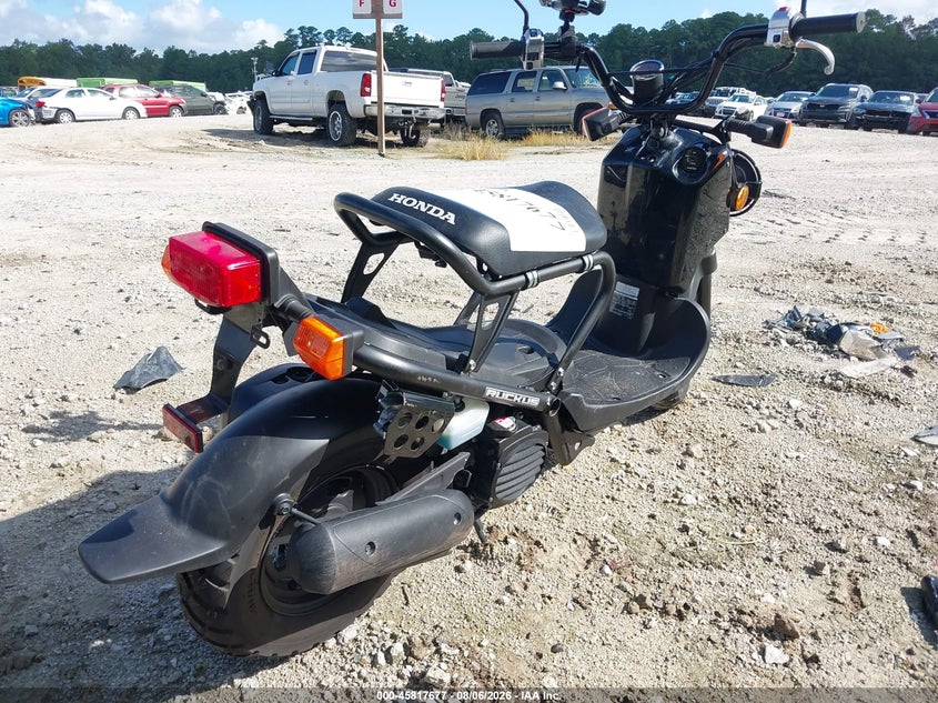 HONDA NPS50 2024