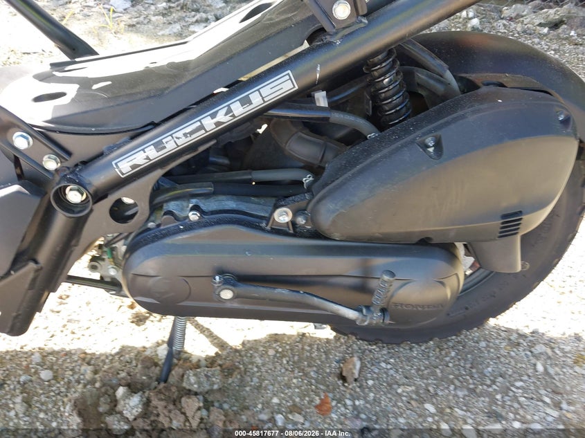 HONDA NPS50 2024