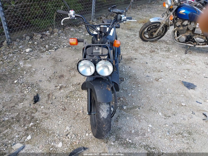 2024 HONDA NPS50 auction photo 5