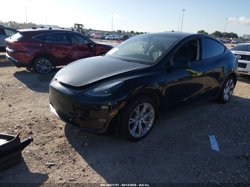 2024 Tesla Model Y(VIN: 7SAYGDED3RF048448