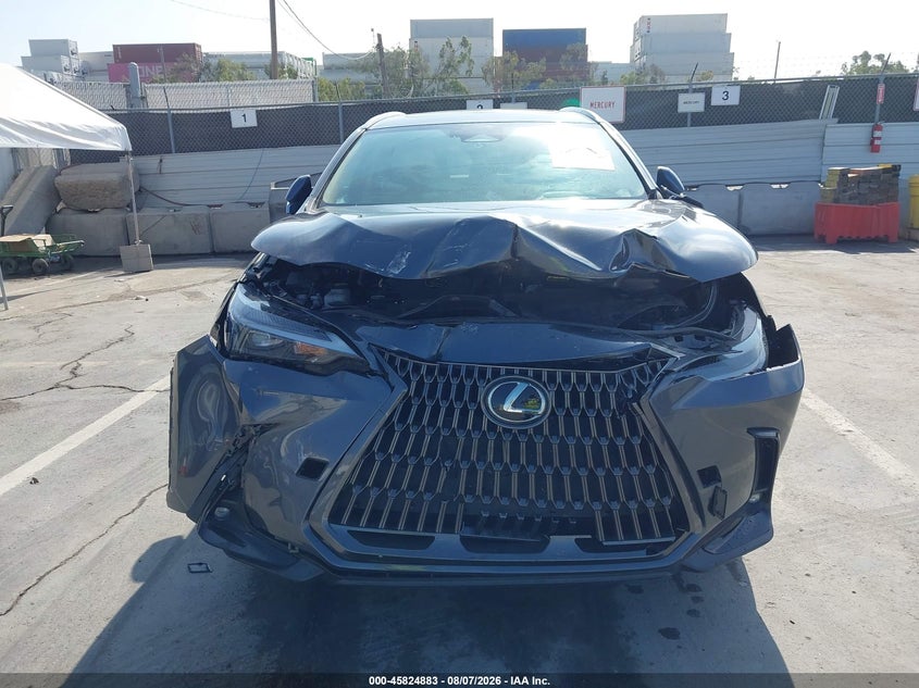 2024 LEXUS NX 350 auction photo 6