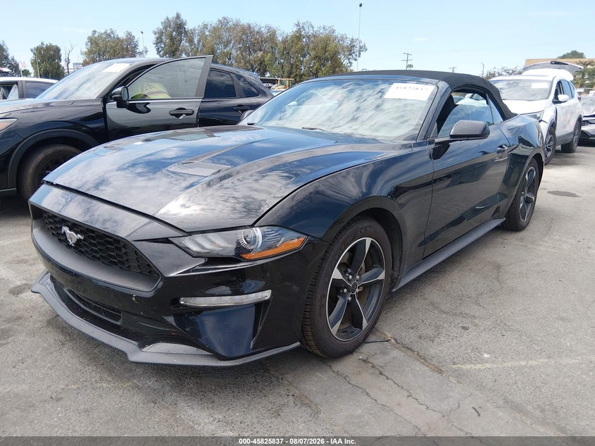 Vin: 1fatp8uhxk5148126, lot: 46324718, ford mustang ecoboost 20192