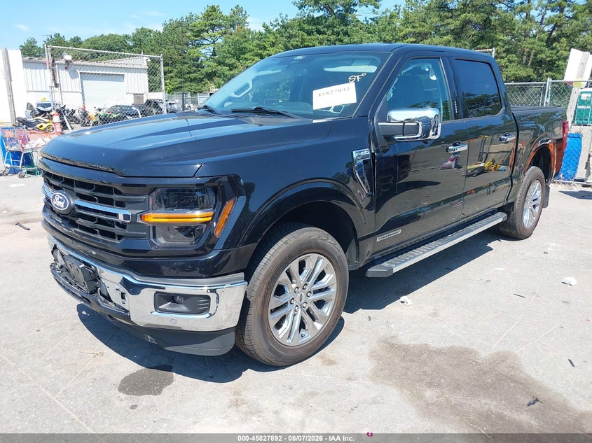 Vin: 1ftfw3ld4rfa98484, lot: 46326793, ford f-150 xlt 20242